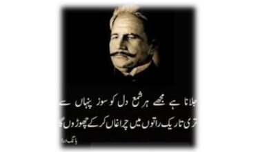 Iqbal's Critique of Nationalism and Patriotism in Modern Western Thought