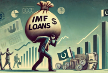 The IMF and Pakistan's Politics: A Complex Relationship