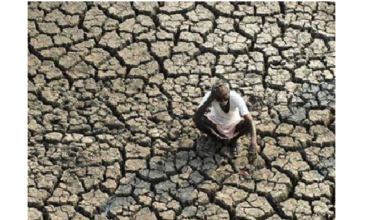 Corporate Farming: Is this the future of Pakistani agriculture?