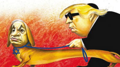 Ashes of War, Shadows of Peace