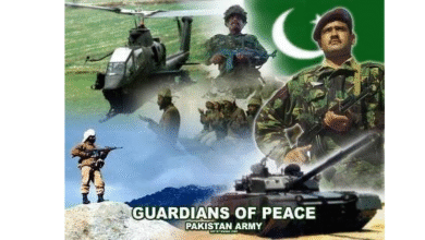 Echoes of Sacrifice, Shadows of Tomorrow