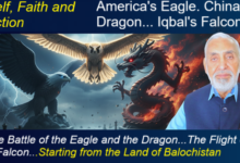 Eagle, Dragon, and Shaheen: Symbols of Power and Spirit