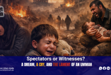 Spectators or Witnesses?