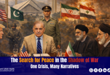 The Search for Peace in the Shadow of War