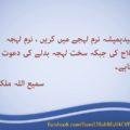 Tanqeed