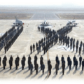 Sample SP