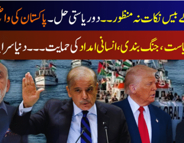 Trump's twenty points rejected. Two-state solution. Pakistan's clear policy. Two-state solution. Pakistan's clear policy.