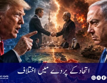 Disagreements under the veil of unity
